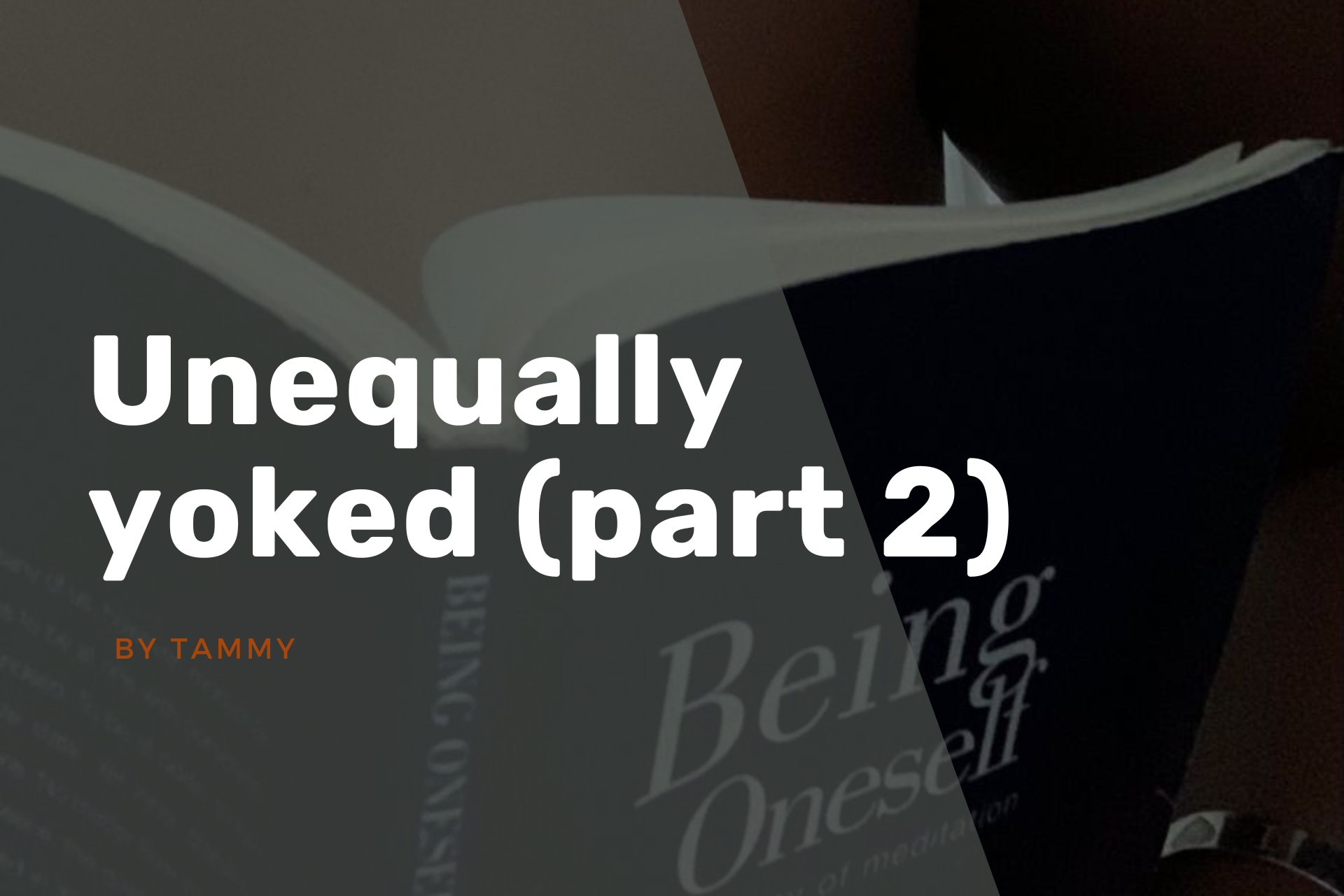 unequally yoked part 2